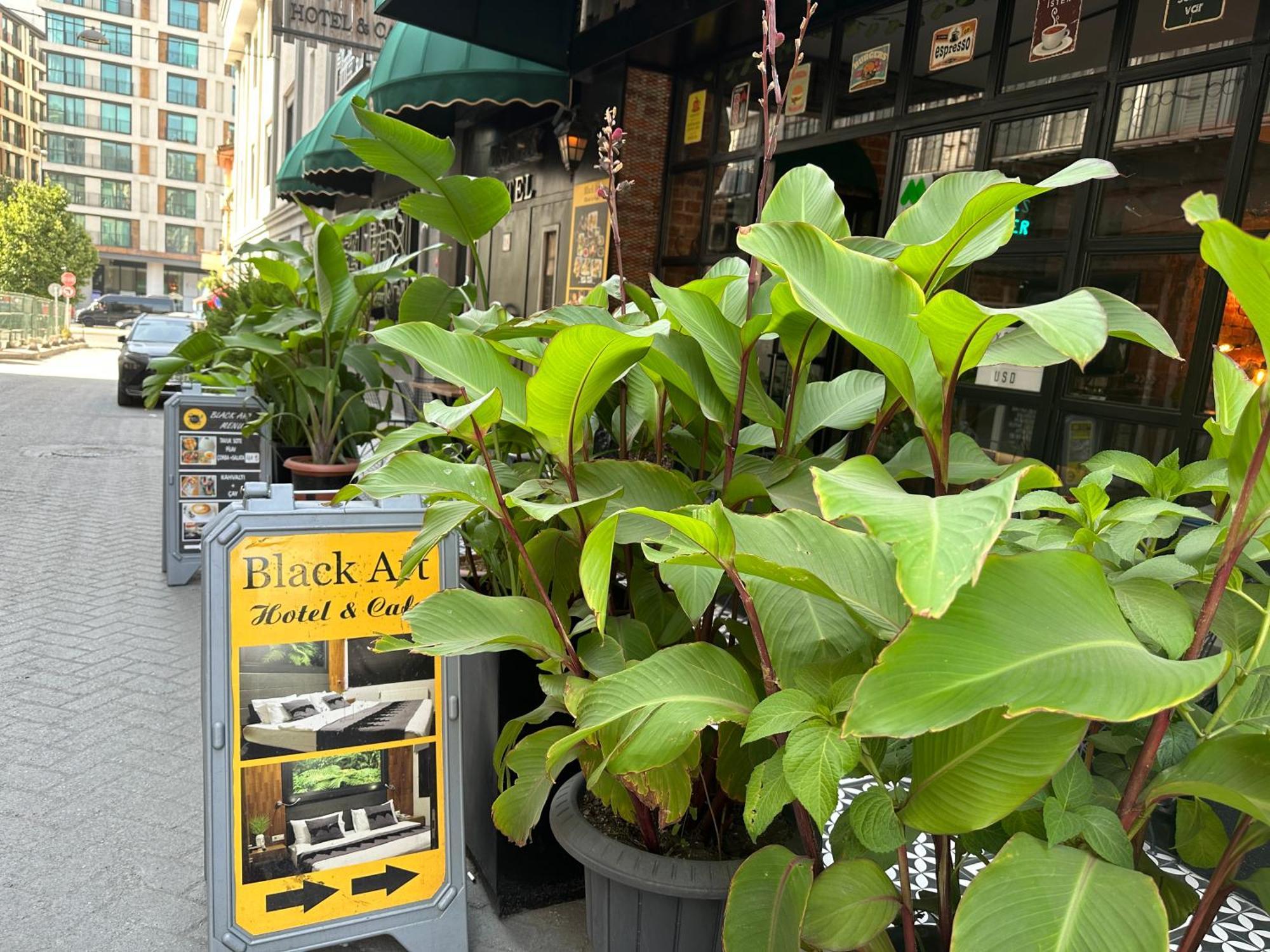 Black Art Otel Istanbul Eksteriør billede